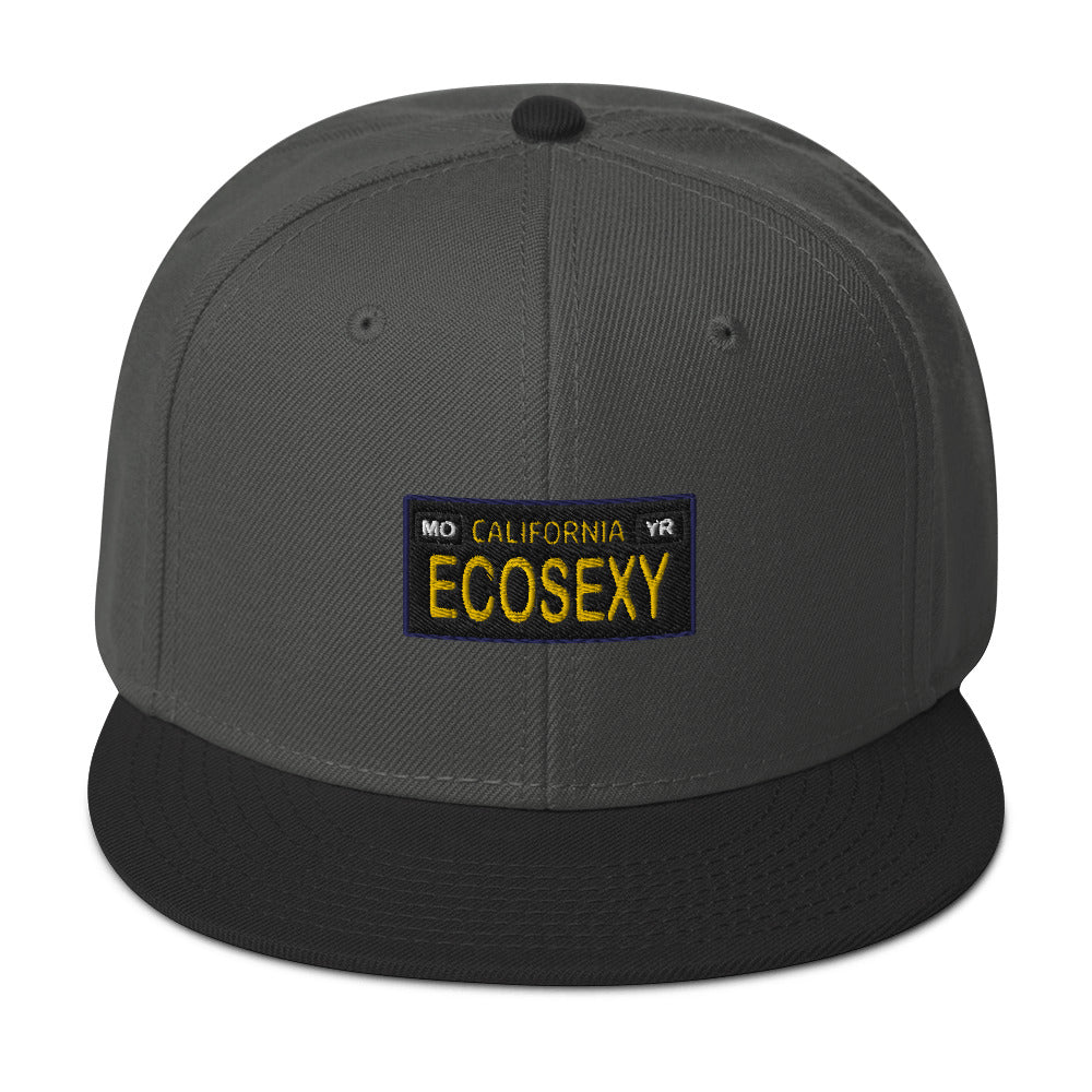 ECOSEXY Snapback Hat
