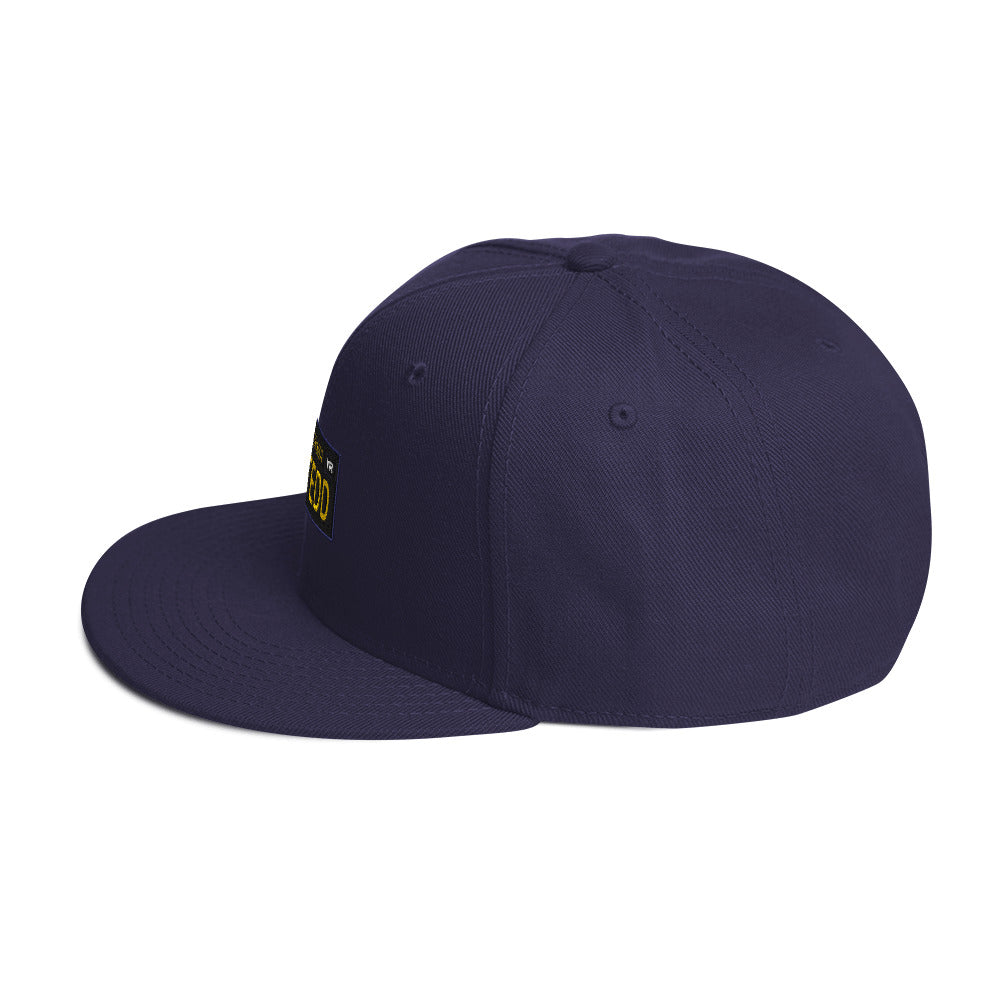 BUSTEDD Snapback Hat