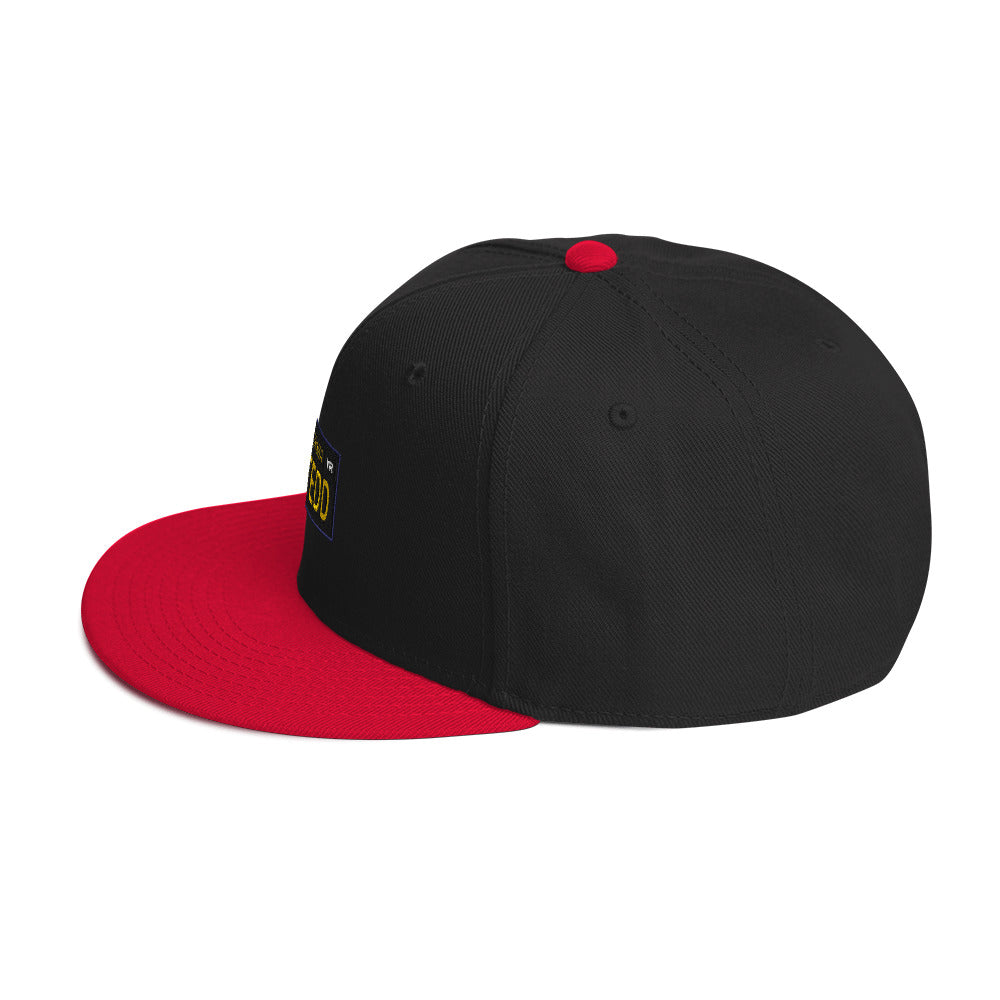 BUSTEDD Snapback Hat